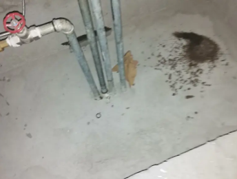 监利卫生间测漏水价格明细